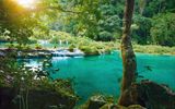 Semuc Champey