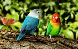Naturfreuden