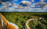Baumkronenpfad Beelitz-Heilstätten