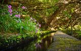 Fontes levada