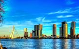 Rotterdam, Blick auf die Erasmusbrücke