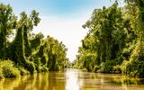 Donaudelta