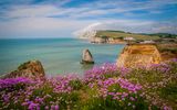 Isle of Wight