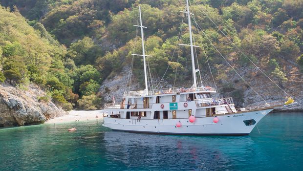 MS Antonela, Außenansicht