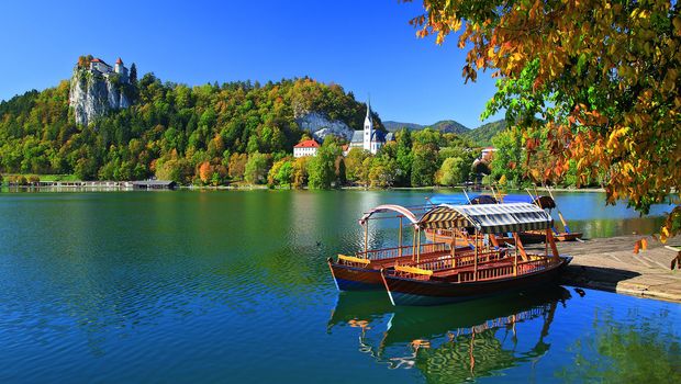 Bled