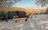 Mit Schnee bedeckte Holzbank in der Eifellandschaft im Winter