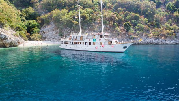 MS Antonela, Außenansicht