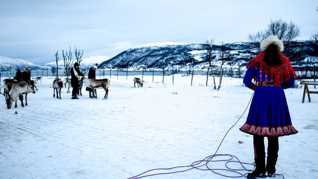 Sami Kultur