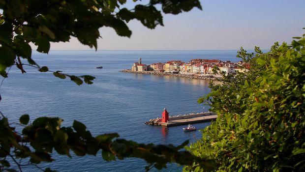 Blick auf Piran