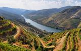 Douro