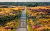 De Hoge Veluwe Nationalpark