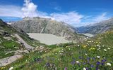 Schweizer Grimselpass mit Grimselsee
