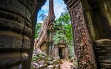 Kambodscha, Angkor Wat - Ta Prohm
