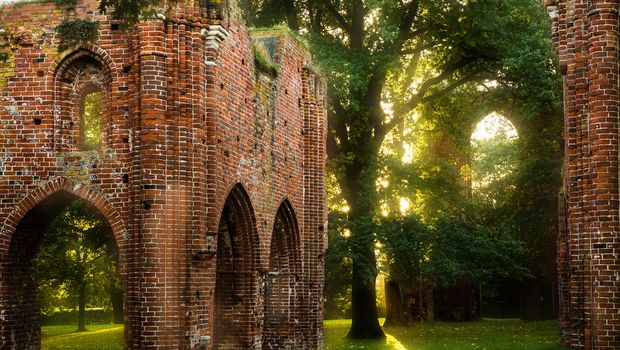 Greifswald, Klosterruine Eldena