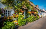 Dorset