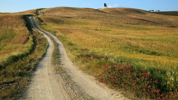 Crete Senesi