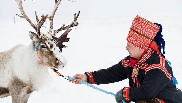Sami man mit Rentier
