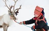 Sami man mit Rentier