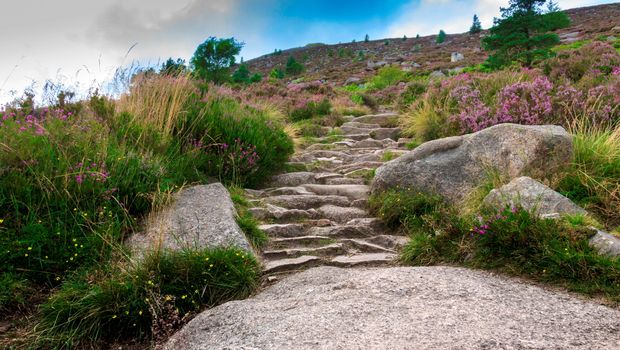 Schottische Stufen Cairngorms