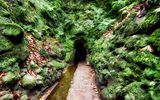 Tunnel der Wanderstrecke Levada Caldeirao Verde auf Madeira