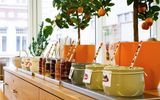 Frühstück Hotel Zeitgeist