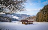 Winter in the Eifel forests,Germany