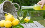 Limoncello und Zitronen