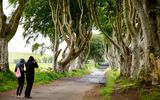 Dark Hedges