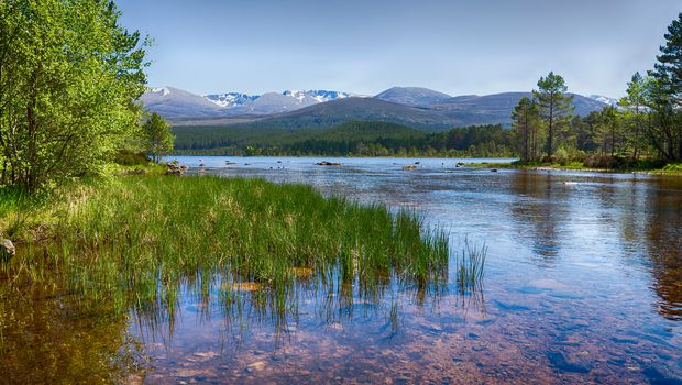 Loch Morlich