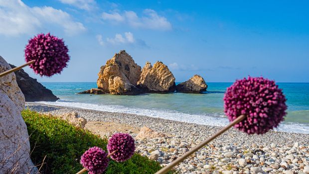 Zypern, Aphrodite-Felsen und Blumen