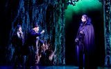 Szene Tanz der Vampire