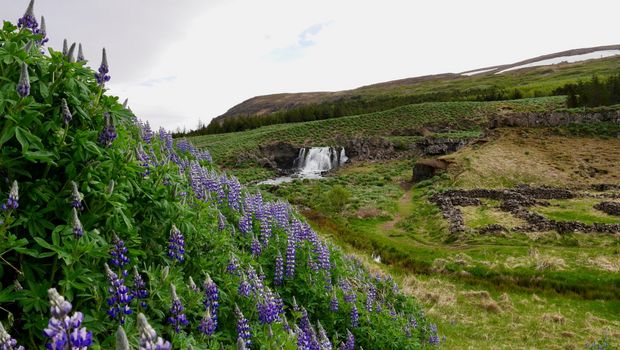 Fossarett Wasserfall in Island