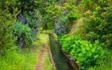 Entlang einer Levada auf Madeira