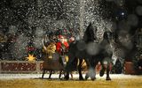 Weihnachtsgala der Neustädter Gestüte