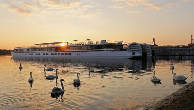 MS Elbe Princesse