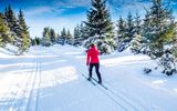 Langlauf in Oberhof