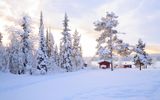 Winterlandschaft bei Lulea