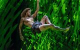Disneys Tarzan, Terence van der Loo