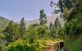 Wanderweg Madeira