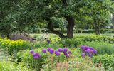 Allium BUGA 2023 Mannheim