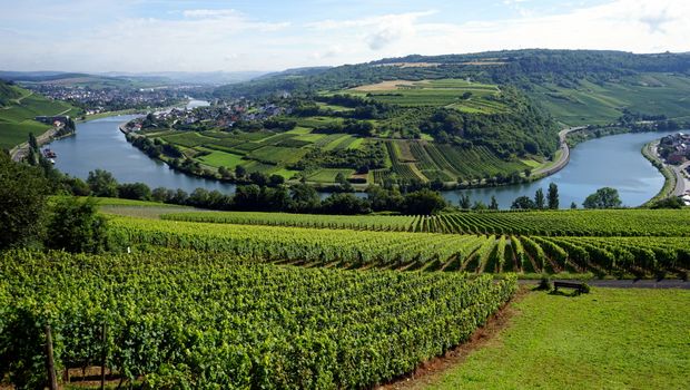 Moseltal zwischen Deutschland und Luxemburg