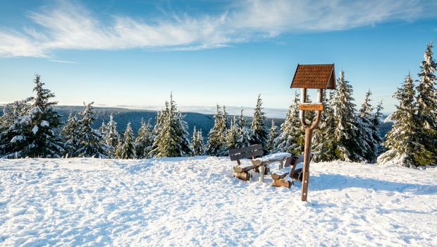 Thüringer Wald, Schneekopf