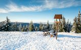 Thüringer Wald, Schneekopf