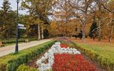 Kurpark Swinemünde