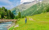 Wandern in den Alpen