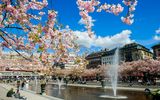 Kings Garden in Stockholm