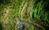 kleine Wasserfälle am Wanderweg Levada do Caldeiro Verde auf Madeira
