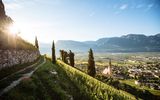 Tramin an der Weinstraße