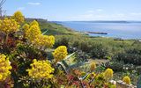 Blick von der Insel Gozo aufs Meer