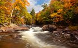 Algonquin